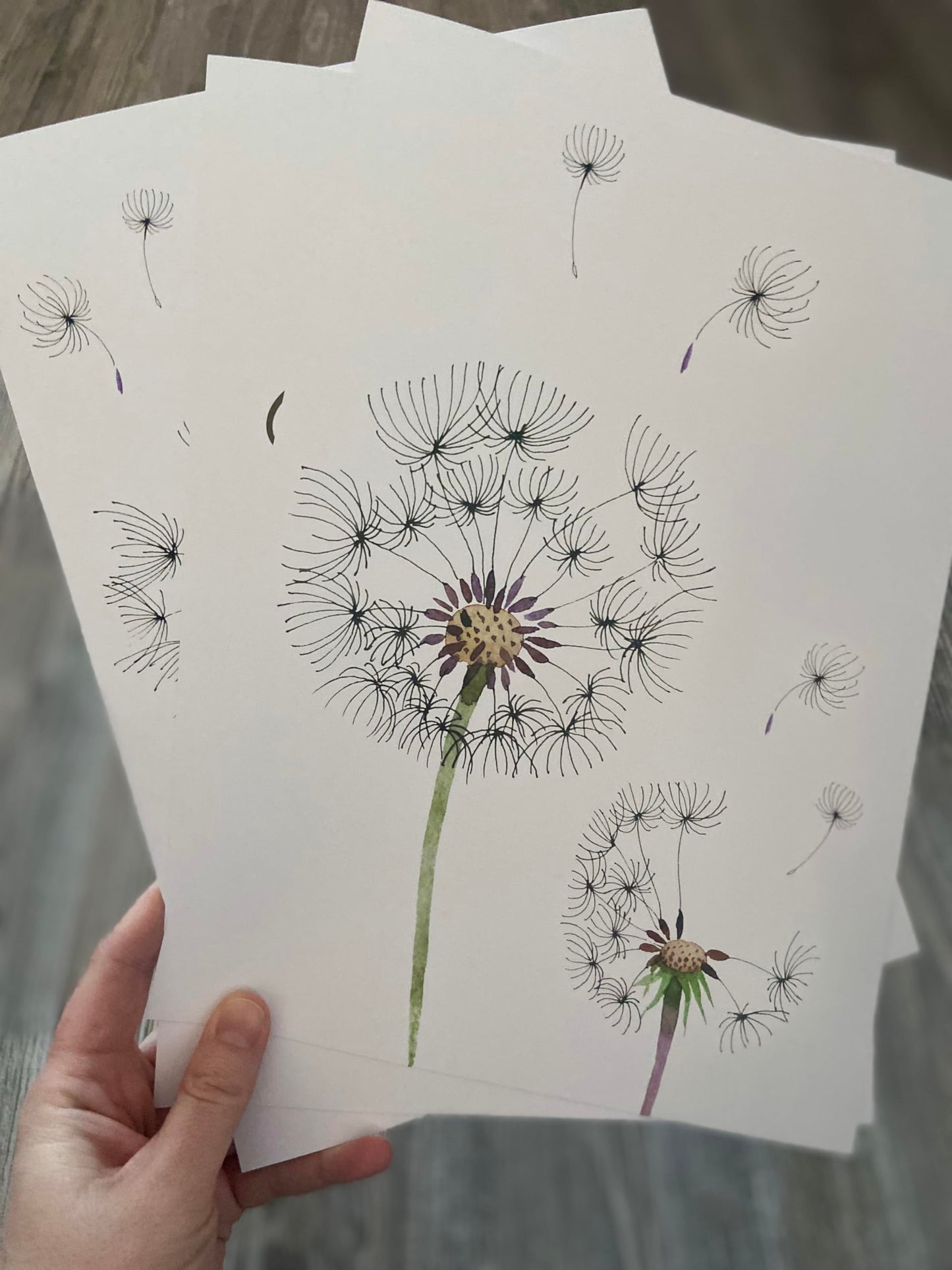 Eviepops Prints Dandelion Quote Wall Art Set of 3 Unframed Prints, Plant Decor, Living Room Bedroom Poster Home Decor, Every Dream Begins with a Wish (A4)
