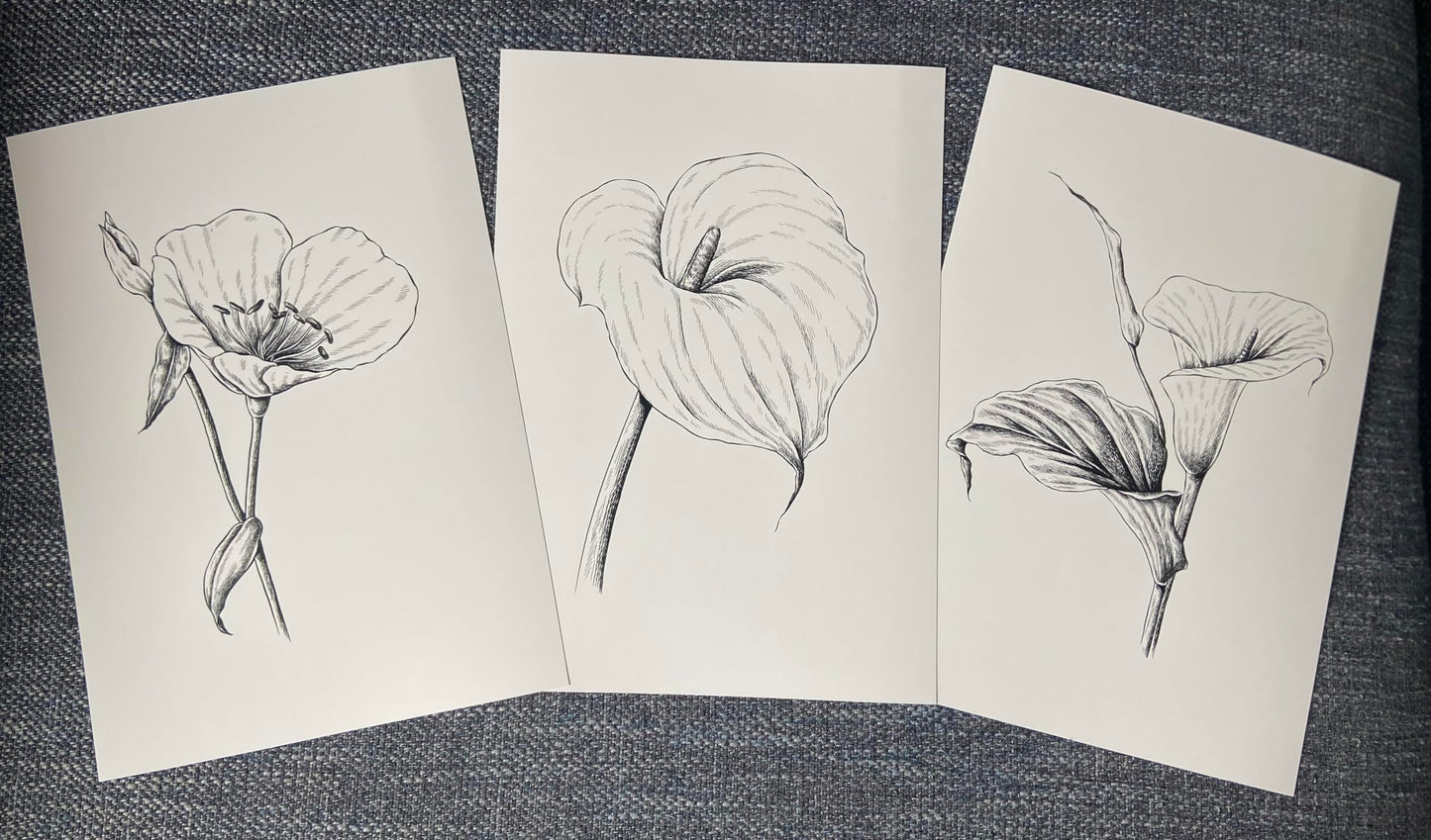 Eviepops Prints Dandelion Quote Wall Art Set of 3 Unframed Prints, Plant Decor, Living Room Bedroom Poster Home Decor, Every Dream Begins with a Wish (A4)