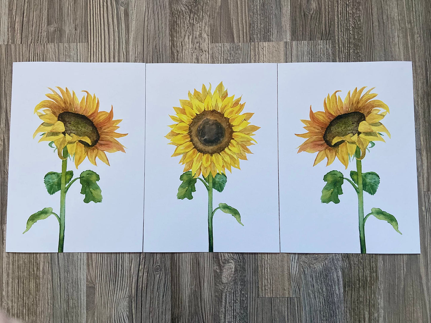 Eviepops Prints Dandelion Quote Wall Art Set of 3 Unframed Prints, Plant Decor, Living Room Bedroom Poster Home Decor, Every Dream Begins with a Wish (A4)
