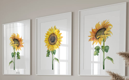 Eviepops Prints Dandelion Quote Wall Art Set of 3 Unframed Prints, Plant Decor, Living Room Bedroom Poster Home Decor, Every Dream Begins with a Wish (A4)