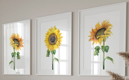 Eviepops Prints Dandelion Quote Wall Art Set of 3 Unframed Prints, Plant Decor, Living Room Bedroom Poster Home Decor, Every Dream Begins with a Wish (A4)