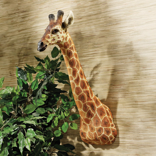 Design Toscano KY2069 African Giraffe Trophy Wall Sculpture, 59.5 cm